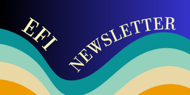 EFI NEWSLETTER - November Edition