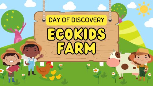 A Day of Discovery: MFS Kindergarten Visits Ecokids Farm! 🚜🌾