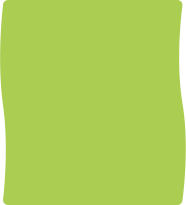 Cambridge Curriculum Program